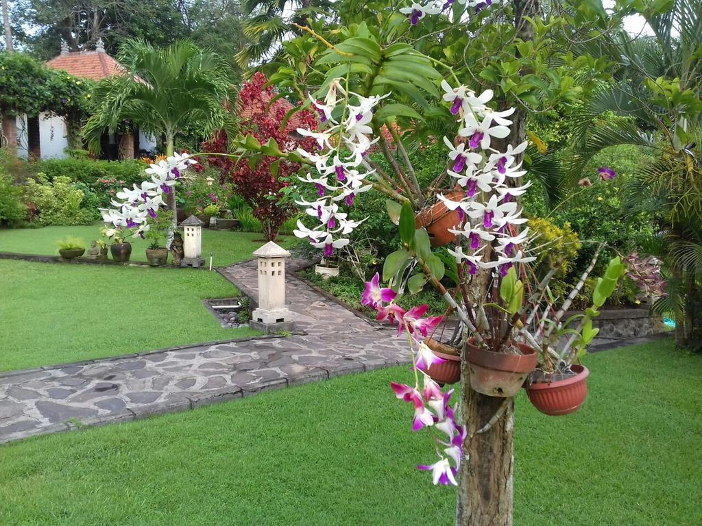 Bukit Asri Lodge Seraya Dış mekan fotoğraf